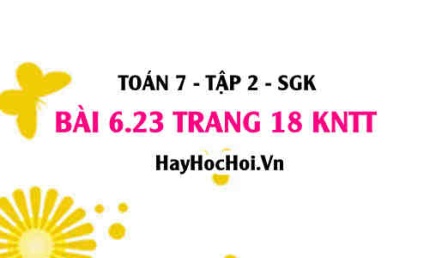 Bài 6.23 trang 18 Toán 7 Tập 2 Kết nối tri thức